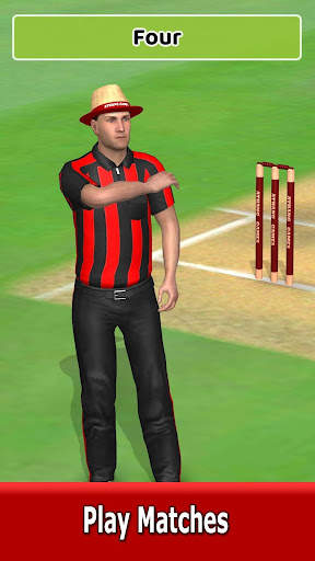 Cricket World Domination скриншот 3