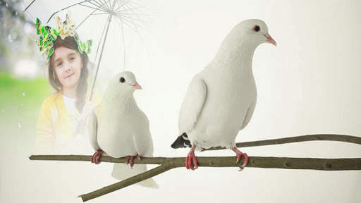 Dove Photo Frame screenshot 2