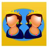 Mirror Camera FX 1.0
