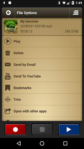 Voice Record Pro screenshot 3