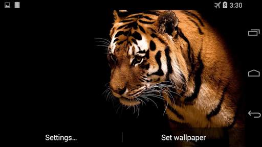 Tiger Live Wallpaper FREE screenshot 4