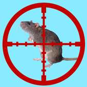 Clear Rats on 9Apps