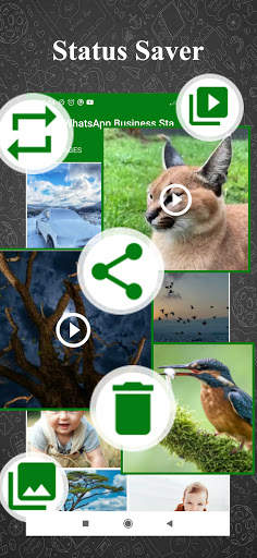 Status Saver For WhatsApp screenshot 5