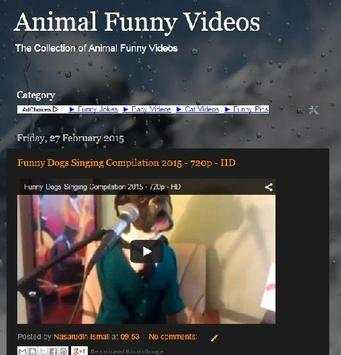 Animal Funny Video Collection screenshot 1