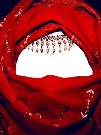 Niqab Photo Frames screenshot 2