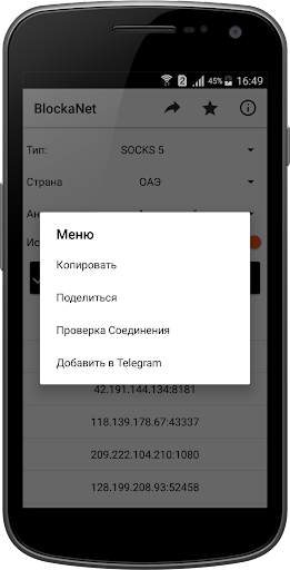 BlockaNet: Список прокси скриншот 3