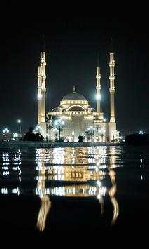 Mosque Wallpapers screenshot 5