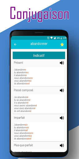 Conjugação em francês offline screenshot 4