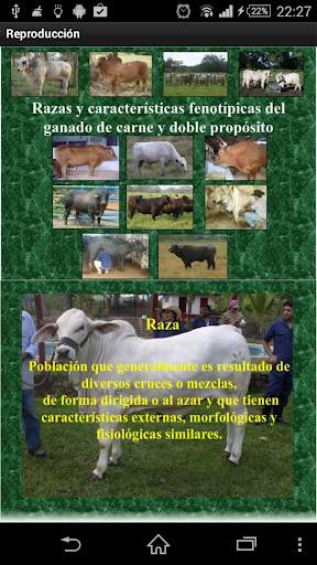 Campo App screenshot 3