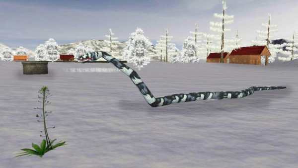 Anaconda Snake Attack Sim screenshot 2