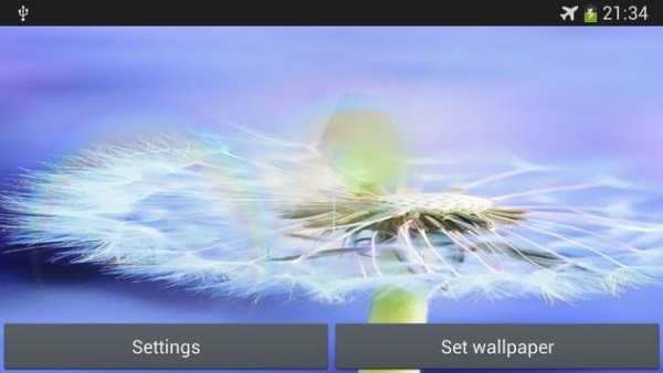 dandelion fly to the sun screenshot 5