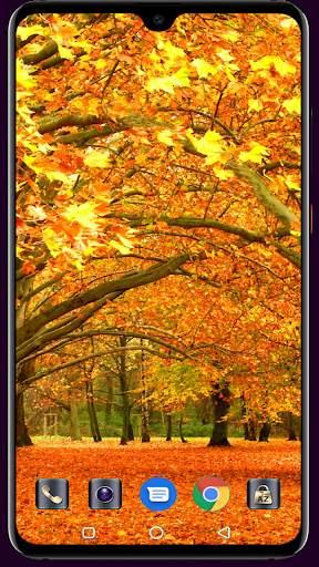 Autumn Wallpaper 4K Latest screenshot 2