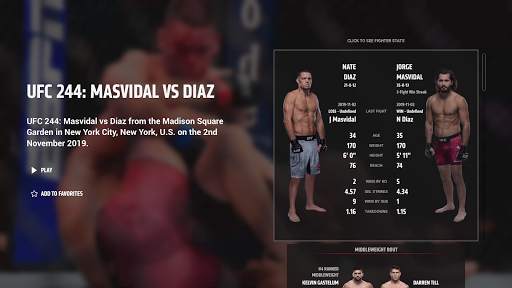 UFC screenshot 24