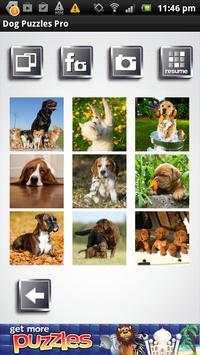 Free Dog Puzzles - Fun Game screenshot 3