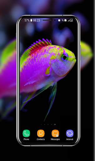 New Betta Fish Wallpaper скриншот 13
