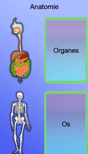 Anatomie screenshot 2