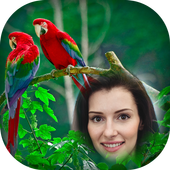 Birds Photo Frames आइकन