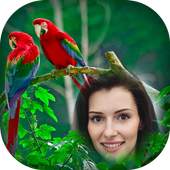 Birds Photo Frames 1.0
