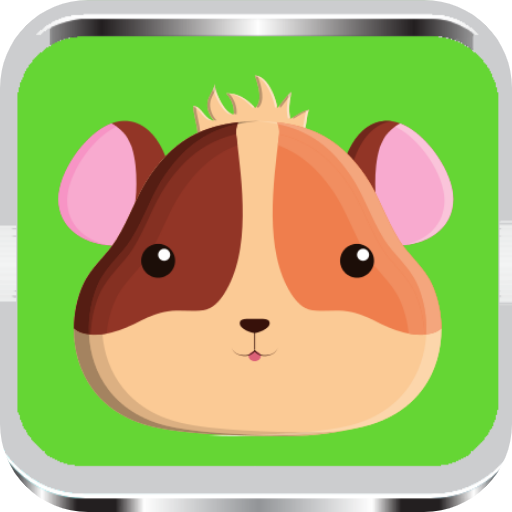 Hamster training 2020 أيقونة