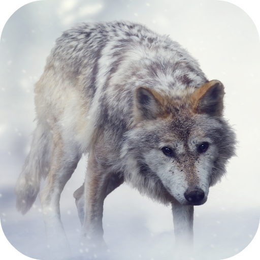 Wolf Sounds icon