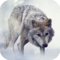 Wolf Sounds on 9Apps