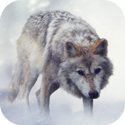 Wolf Sounds 2.0
