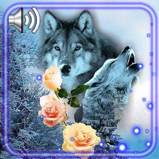 Rose and Wolf Live Wallpaper 1.2