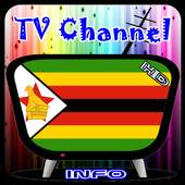 Info TV Channel Zimbabwe HD 1.0