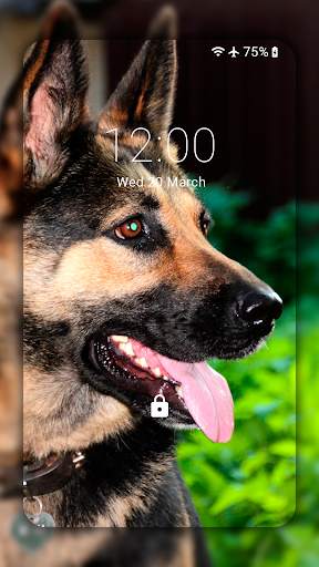 German Shepherd Wallpapers  (backgrounds & themes) screenshot 2