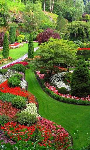 Garden Live Wallpaper screenshot 1