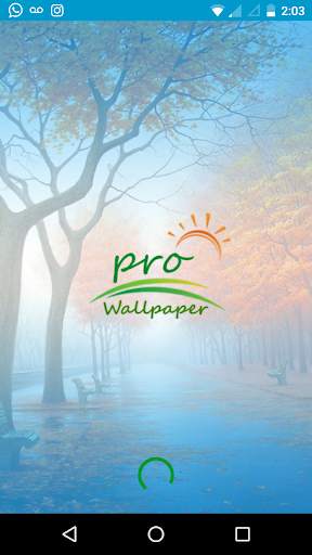 Pro Wallpaper HD screenshot 1