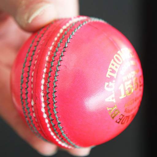 Cricket Updates 2.0.1
