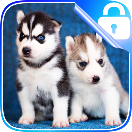 Husky Lock Screen आइकन