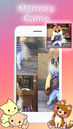 Cat Video Call : call fake, prank tom call screenshot 5