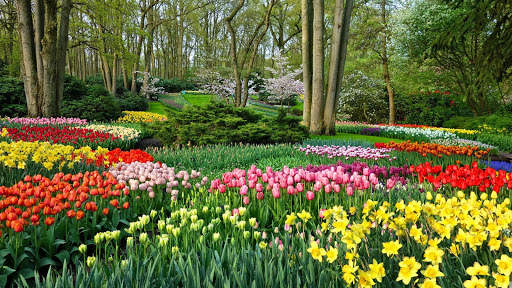 Garden HD Wallpaper screenshot 2