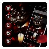 costly cat theme costly black wallpaper