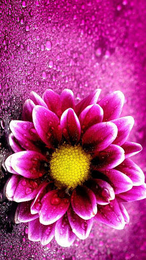 3D Flower Wallpaper screenshot 11