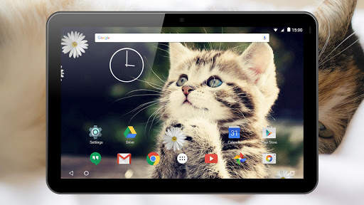 Kittens Live Wallpaper screenshot 13