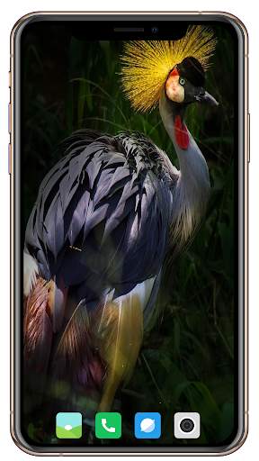 Bird HD Wallpaper screenshot 4