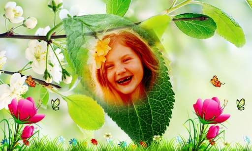 Peacock & Nature Photo Frames 7 تصوير الشاشة
