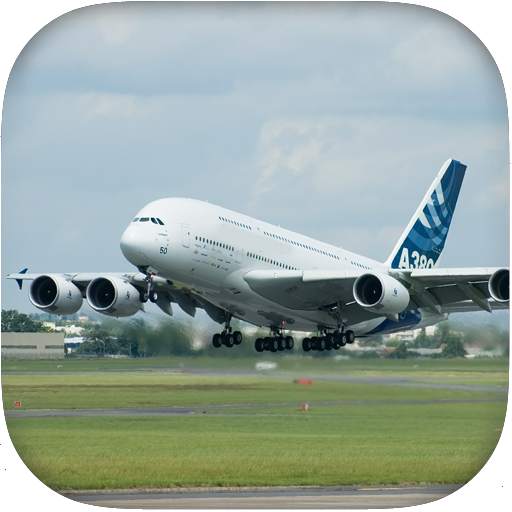 Flight Simulator: Airplane 3D 1.13