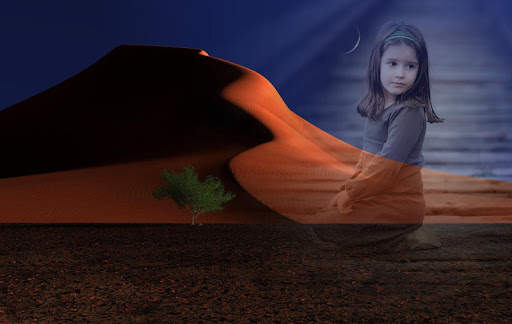 Desert Photo Frames screenshot 4