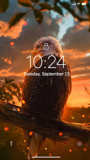 Eagle Wallpaper screenshot 2