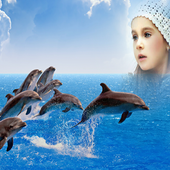 Dolphin Photo Frame icon
