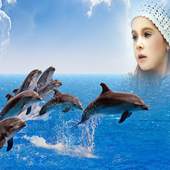 Dolphin Photo Frame 4.3