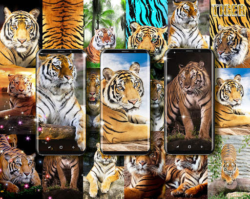 Tiger live wallpaper screenshot 2