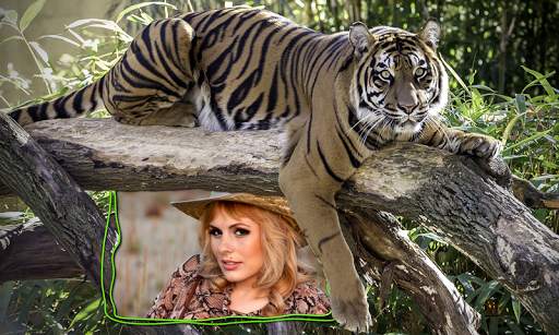 Tiger Photo Frames screenshot 9