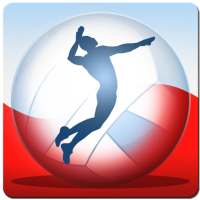 Volleyball Championship 2014 icon