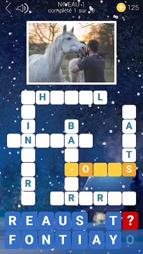 Mots Croisés des Neiges screenshot 4