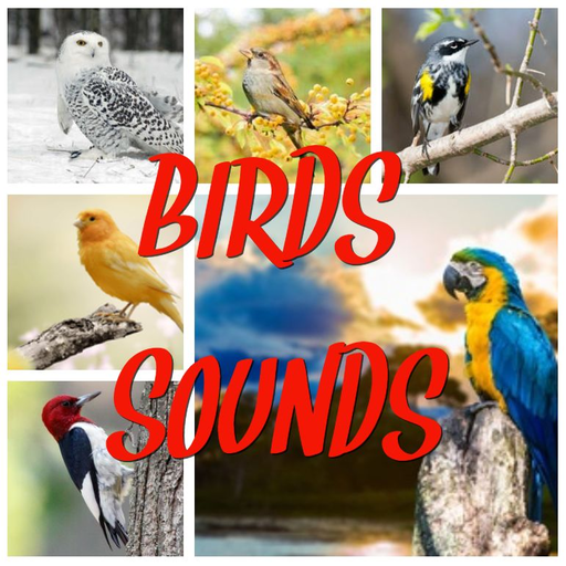 Birds sounds icon